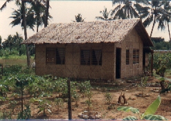1853.jpg
